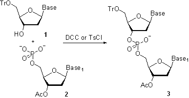 Phosphodiester_method